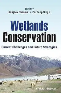 Wetlands Conservation: Current Challenges and Future Strategies