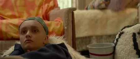 Quel fantastico peggior anno della mia vita / Me and Earl and the Dying Girl (2015) 