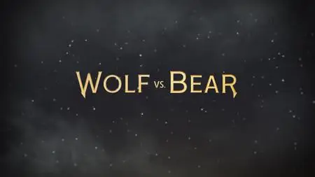 Wolf vs Bear (2018)