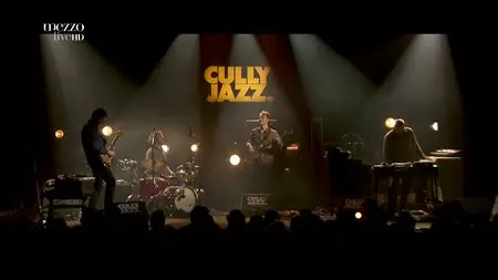 Medeski, Martin & Wood, Nels Cline - Cully Jazz Festival (2015) [HDTV 1080р]