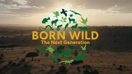 NG. - Born Wild: The Next Generation (2020)