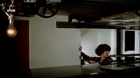 Martin (1977)