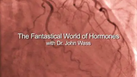 BBC - The Fantastical World of Hormones (2014)