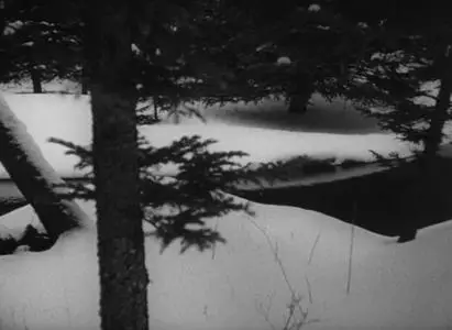 Ski Troop Attack (1960)