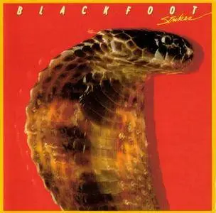 Blackfoot - Strikes (1979)
