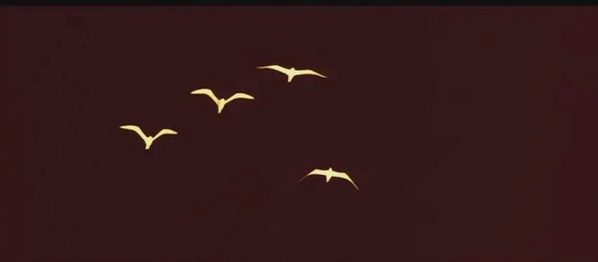 Jonathan Livingston Seagull - The Movie (1973)