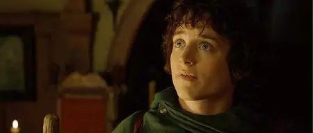 The Lord of The Rings: The Fellowship of The Ring SEE (2001)