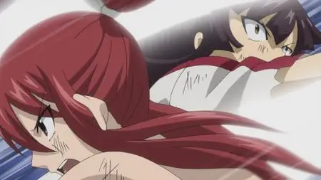 Fairy Tail 011-020 (2014)