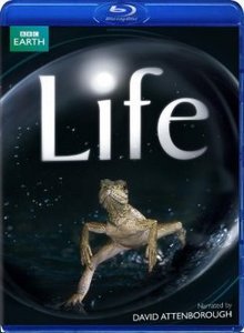 BBC - Life (8 of 10) Creatures of the Deep (2009)