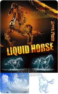 Liquid horse - UHQ Stock Photo