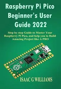 Raspberry Pi Pico Beginner’s User Guide 2022