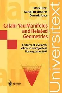 Calabi-Yau Manifolds and Related Geometries