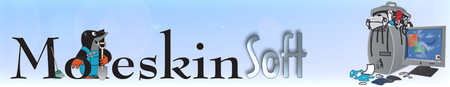 Moleskinsoft Clone Remover 2.7