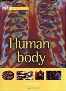 Human Body (Dk Guide)
