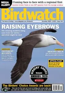 Birdwatch UK - Issue 341 - November 2020