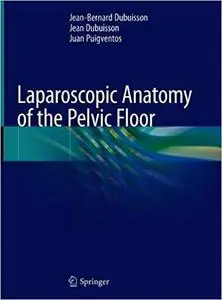 Laparoscopic Anatomy of the Pelvic Floor