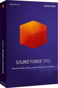 MAGIX Sound Forge Pro v13.0.0.46 WiN