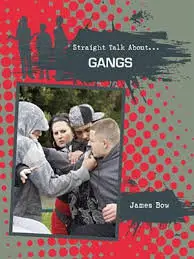 Gangs (Straight Talk About...(Crabtree)) by James Bow