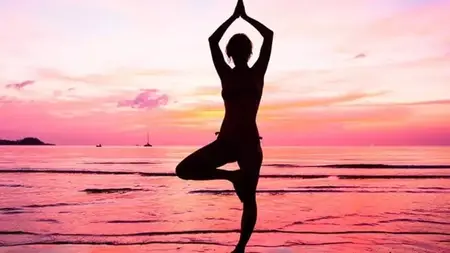 Gentle Hatha Yoga: Stretching, Core, Relaxation and Strength