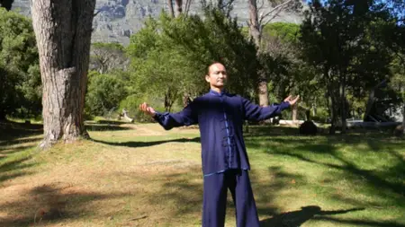 8 Effective Qigong Dynamic Movements for Busy Lifestyles