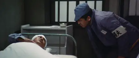 The Rapacious Jailbreaker (1974)