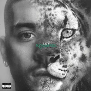 ZAYN - KONNAKOL (2026) [Official Digital Download]