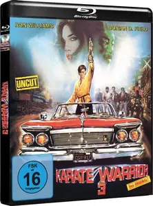 Karate Warrior 3 (1991)