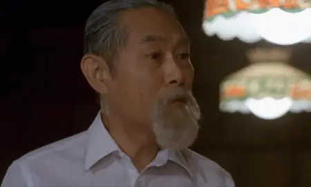 Karate Warrior 3 (1991)