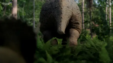 BBC - Walking with Dinosaurs 2025 (2025)