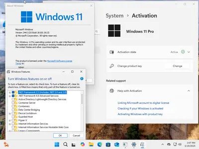 Windows 11 Pro 24H2 Build 26100.3613 (No TPM Required) Preactivated Multilingual March 2025