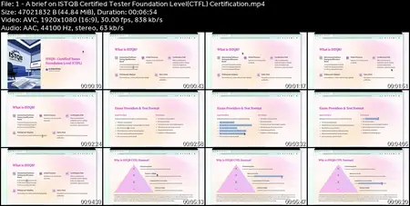 2025 -ISTQB Certified Tester Foundation level -Crash Course