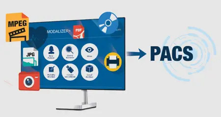 MODALIZER Plus 6.1.0