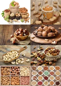 Nuts Collection 4