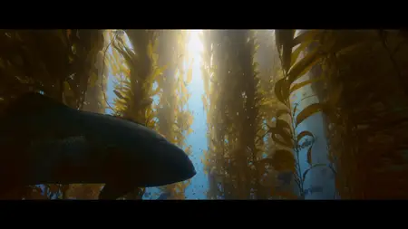 Ocean with David Attenborough (2025)