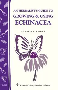 An Herbalist's Guide to Growing & Using Echinacea (repost)