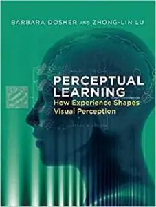 Perceptual Learning: How Experience Shapes Visual Perception