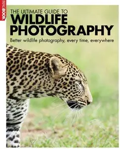 The Ultimate Guide to Wildlife Photography