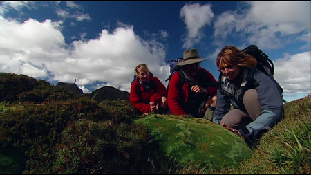 AG Best of Australia - Tasmanian Wilderness (2006)