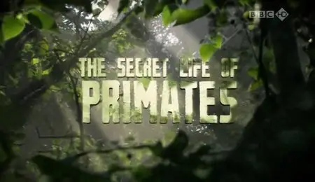 BBC - The Secret Life of Primates (2009)