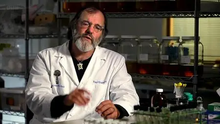BBC - The Magic of Mushrooms (2014)