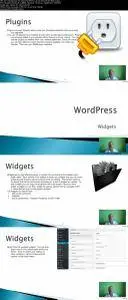 WordPress Plugins and Widgets