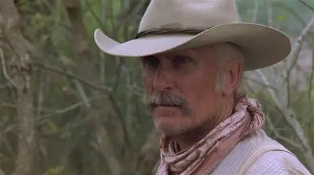 Lonesome Dove (1989)