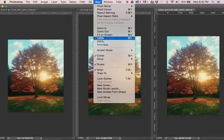Mobile Photography: How I Earn A Secondary Income (2015)