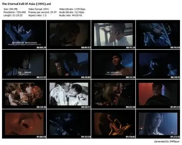 The Eternal Evil Of Asia (1995)