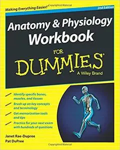 Anatomy and Physiology Workbook For Dummies Ed 2