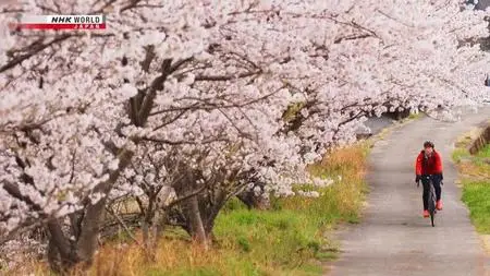 NHK Cycle Around Japan - Tokushima: Where Teamwork Runs Deep (2022)