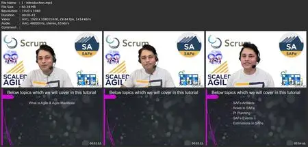 Scaled Agile Framework (Safe) + Complimentary Rally Tool
