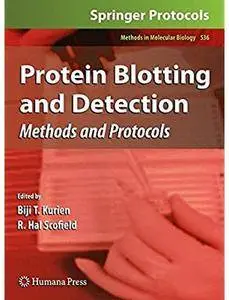 Protein Blotting and Detection: Methods and Protocols