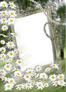 Frame with daisywheels for Photoshop