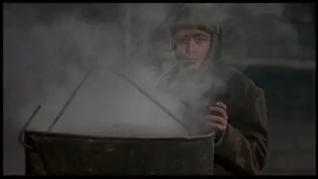 Baran (2001)